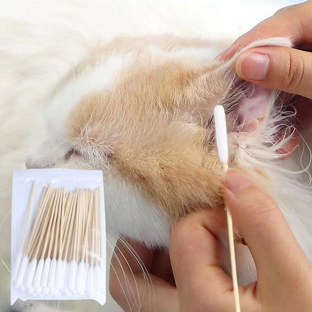 50/100Pcs Pet Ear Cleaner Cotton Buds Dog Ear Cleaner Cotton Swab Sticks Cotton Buds for Dog Cat Ear Wax Removal Pet Supplies