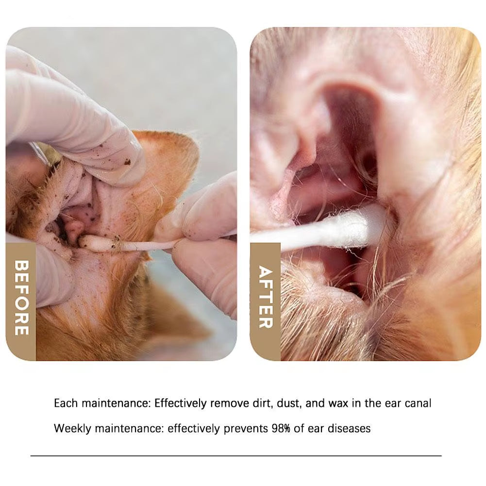 50/100Pcs Pet Ear Cleaner Cotton Buds Dog Ear Cleaner Cotton Swab Sticks Cotton Buds for Dog Cat Ear Wax Removal Pet Supplies