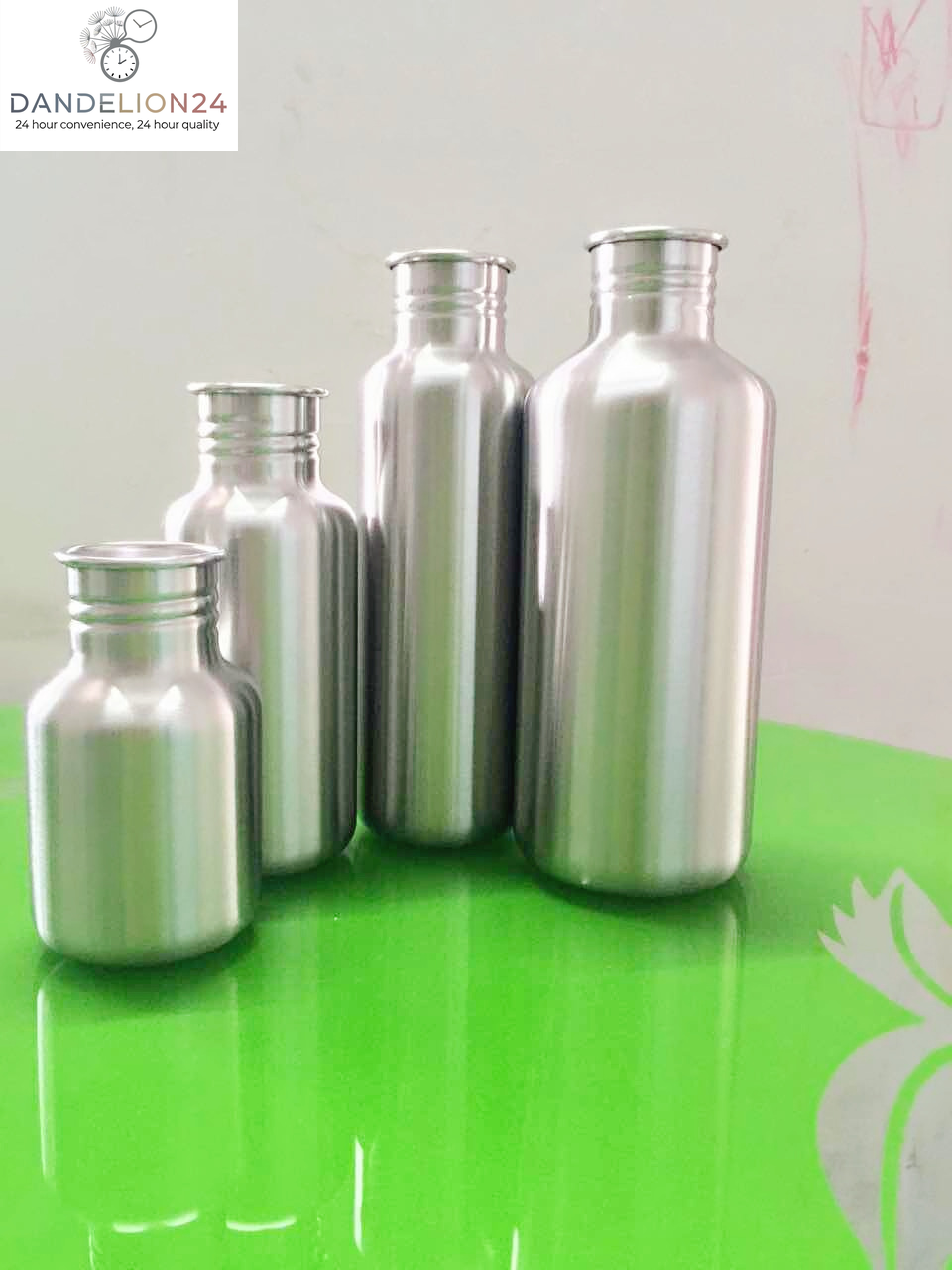Stainless Steel Insulated Water Bottle
