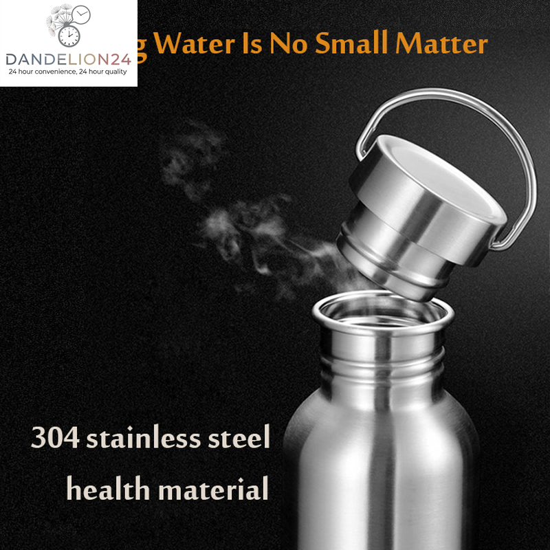 Stainless Steel Insulated Water Bottle