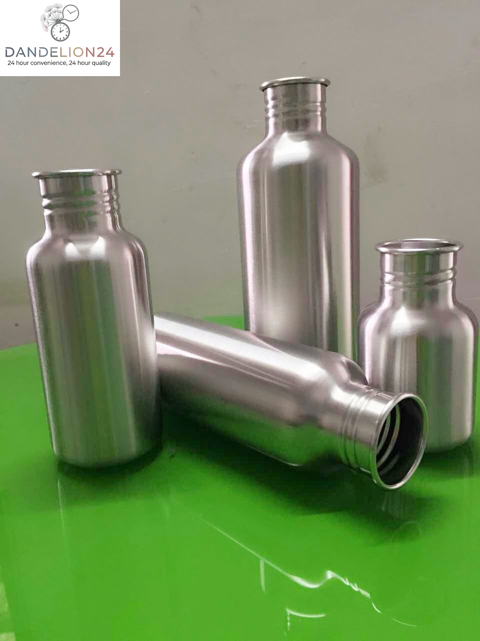 Stainless Steel Insulated Water Bottle