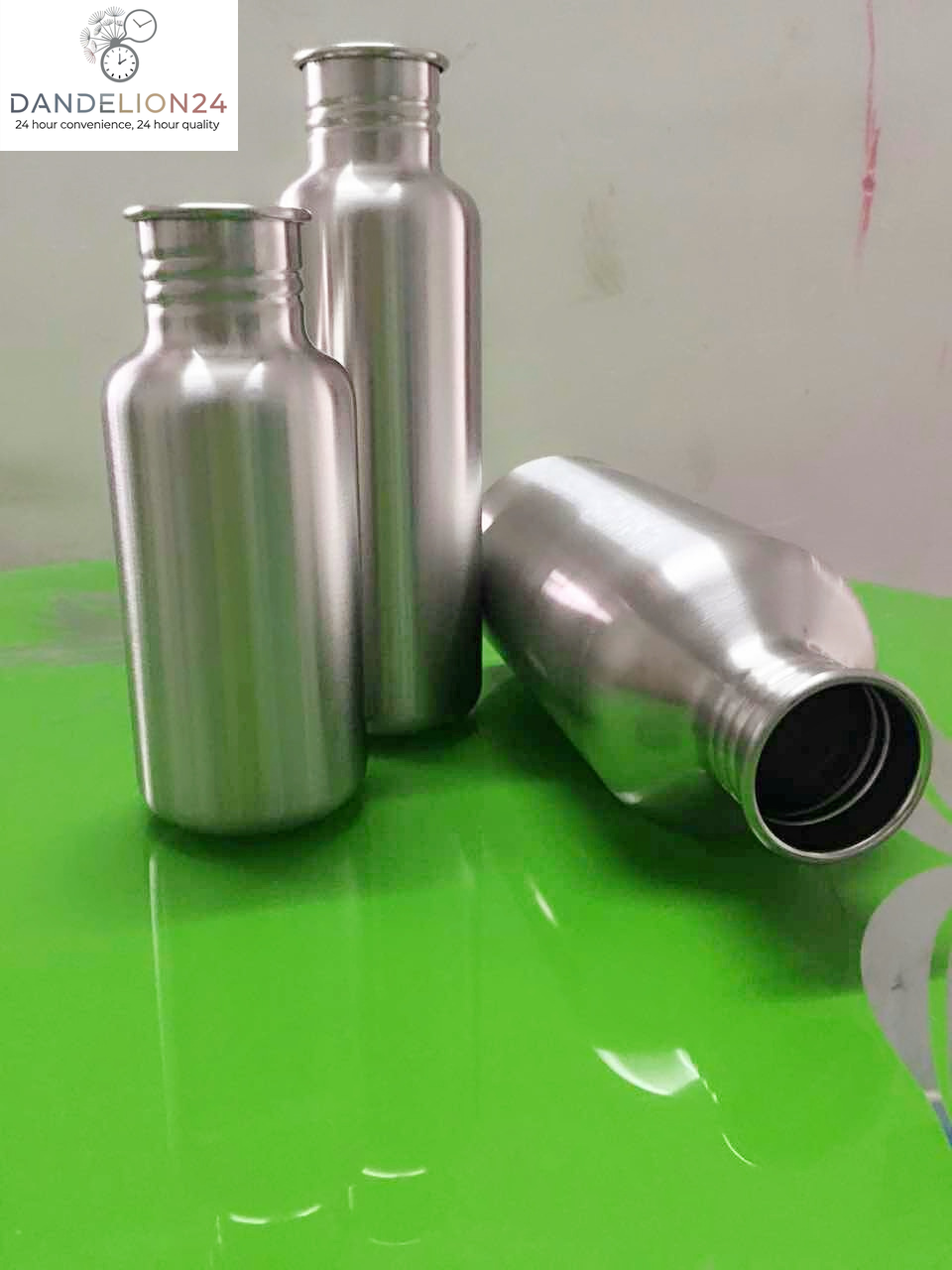 Stainless Steel Insulated Water Bottle