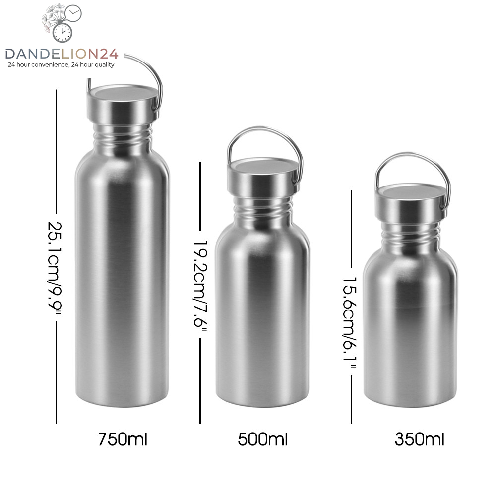 Stainless Steel Insulated Water Bottle